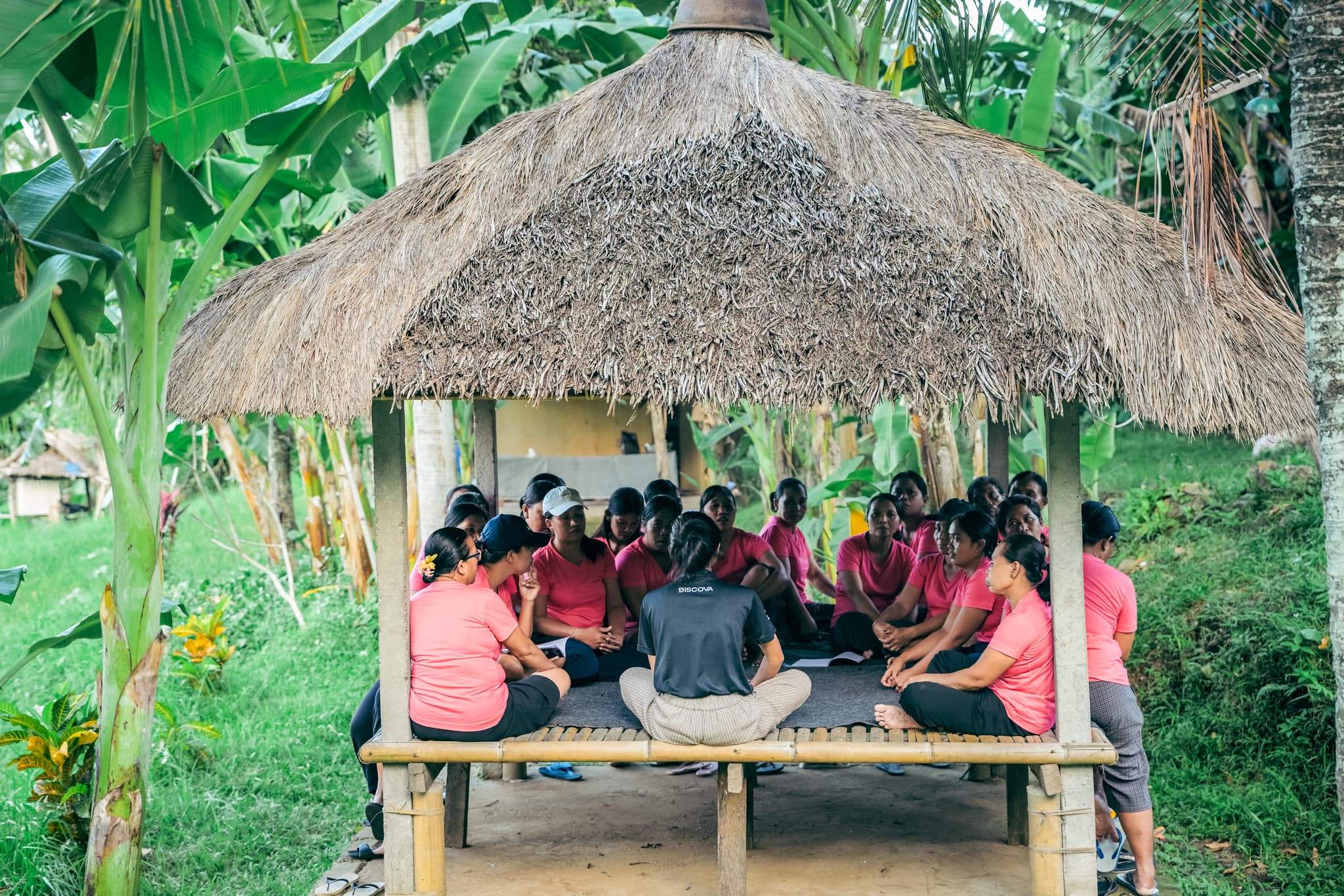 Impact Immersion (3-4 weeks)