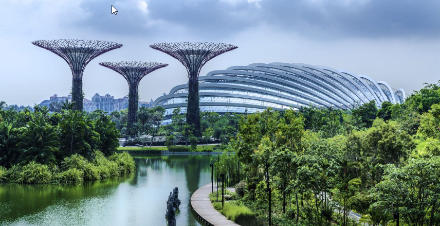 Singapore STEM and Sustainability: Learning in a Living Laboratory