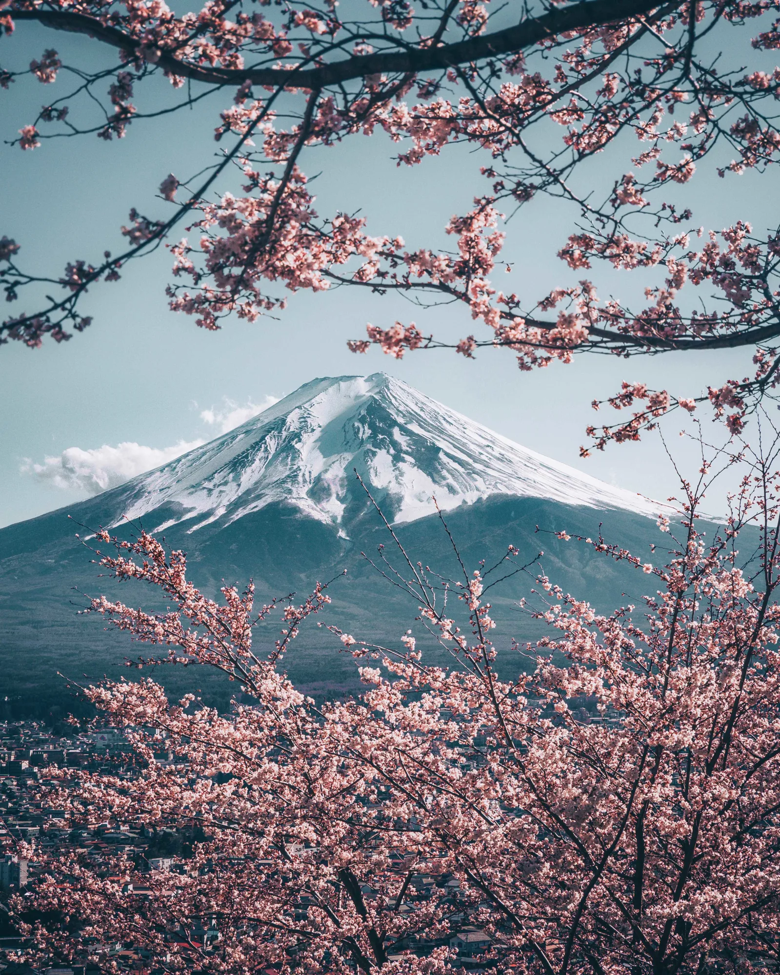 11-days-classic-japan